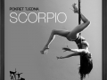 scorpio (2)