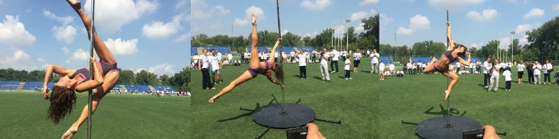 jelena clanak web cover